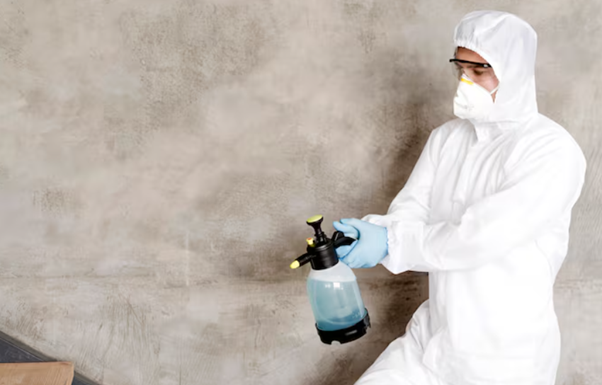 Sunshine Coast mould removal