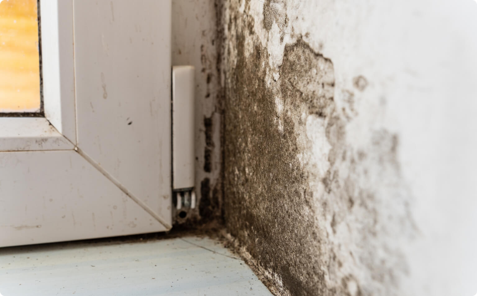Damp corner with mold growth