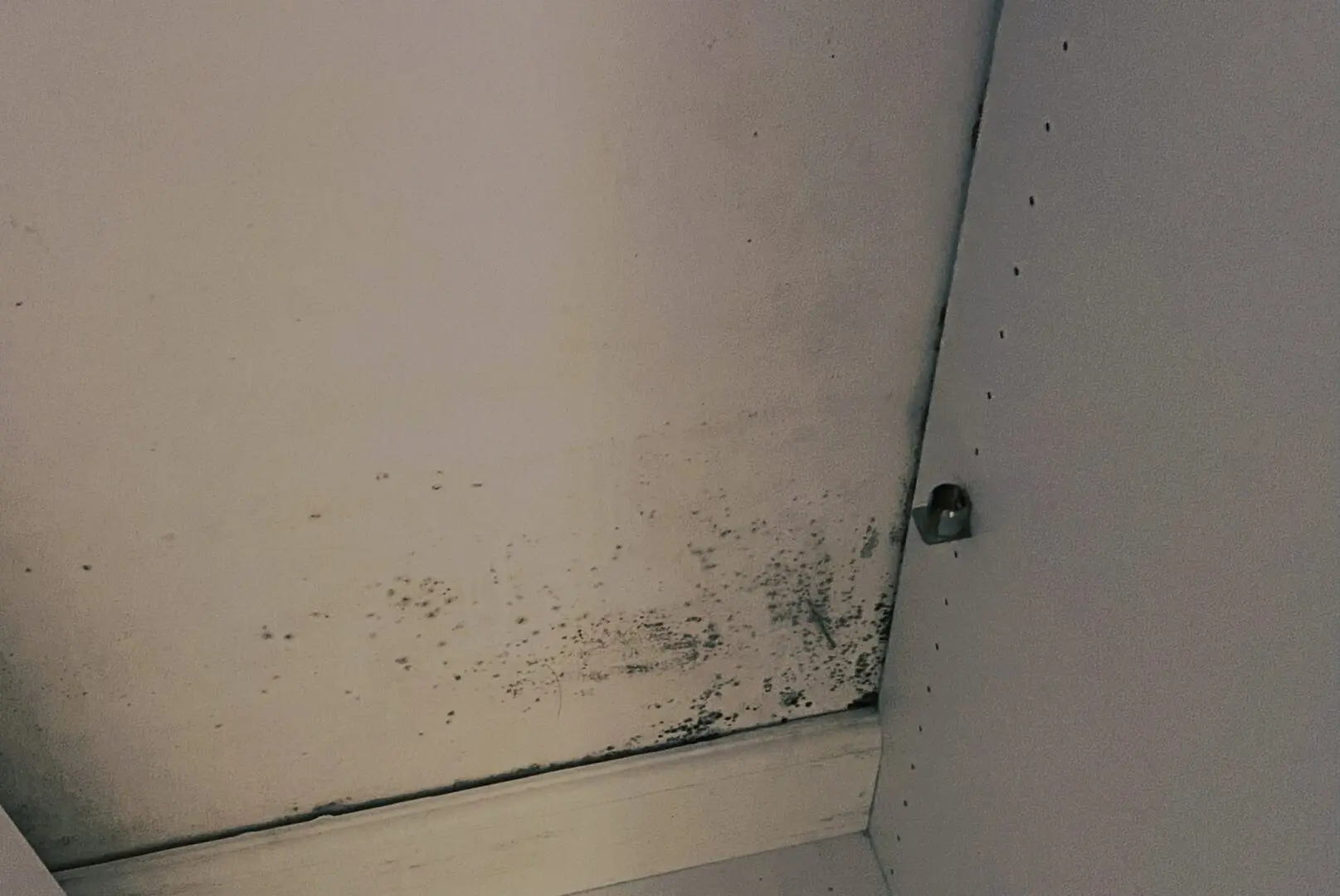 Cabinet interior with visible mold patches