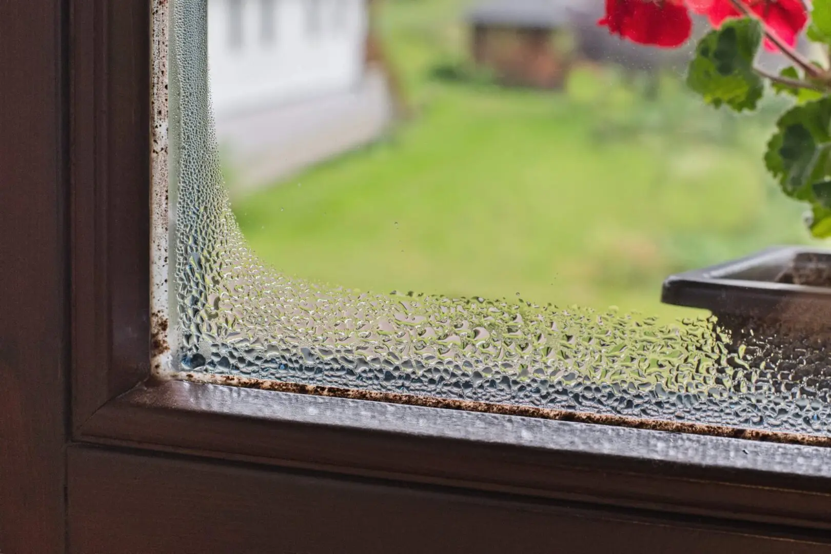 Condensation on window with outdoor view