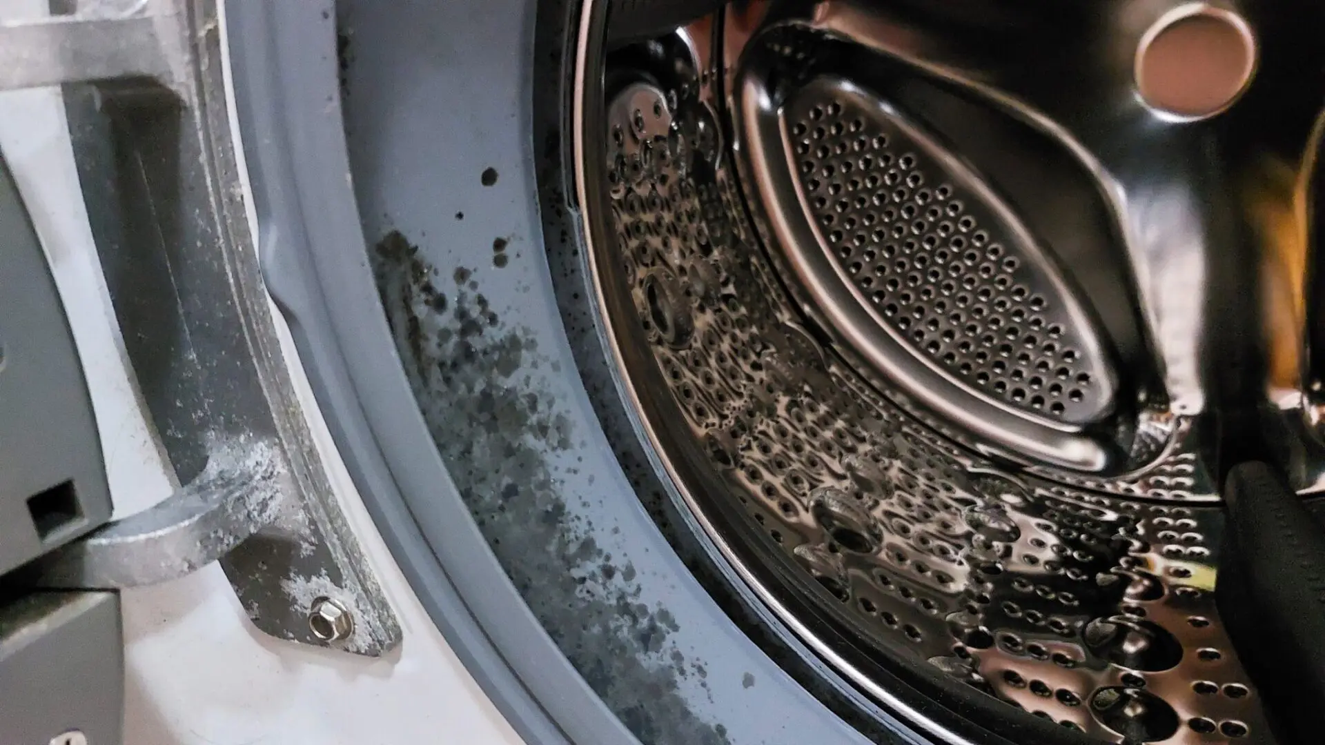 Washing machine with mold buildup