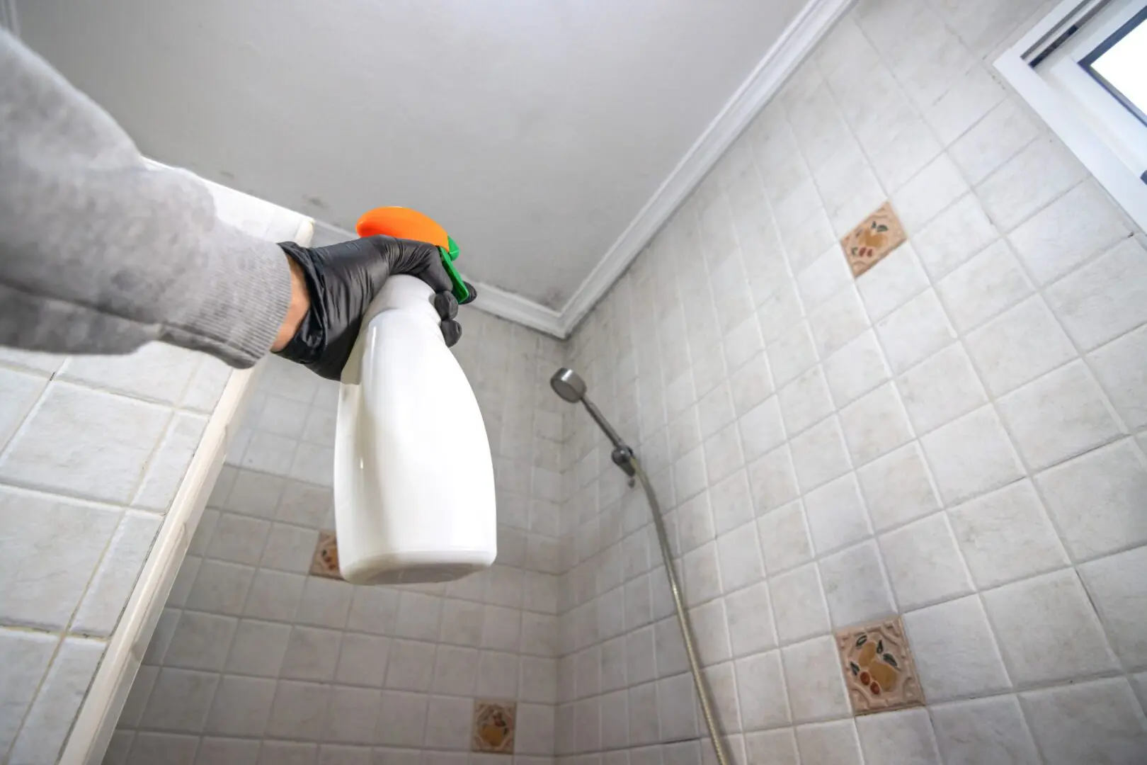 Person spraying cleaner on bathroom ceiling