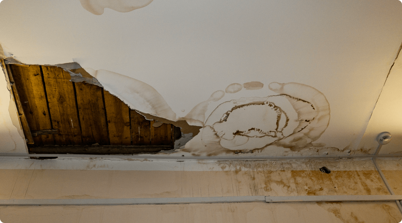 Peeling ceiling revealing wooden beams