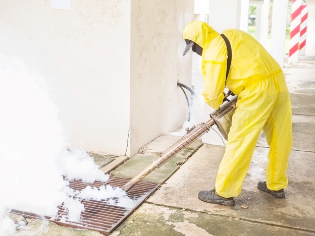 Comprehensive mould removal services Sunshine Coast