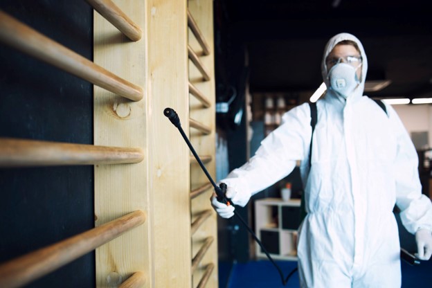Professional mould testing services Sunshine Coast