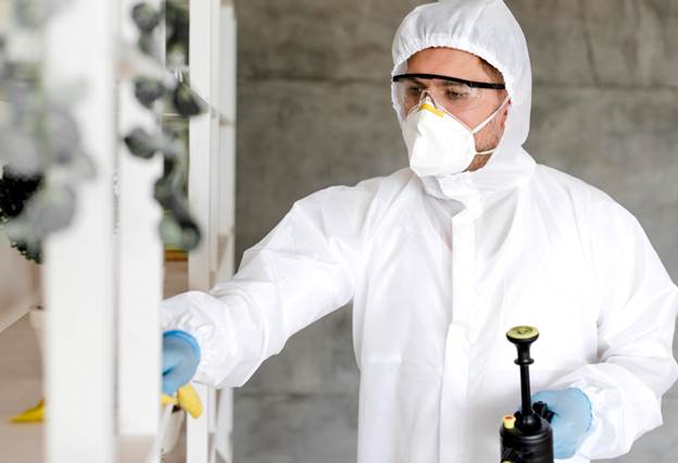 professional mould testing services Sunshine Coast