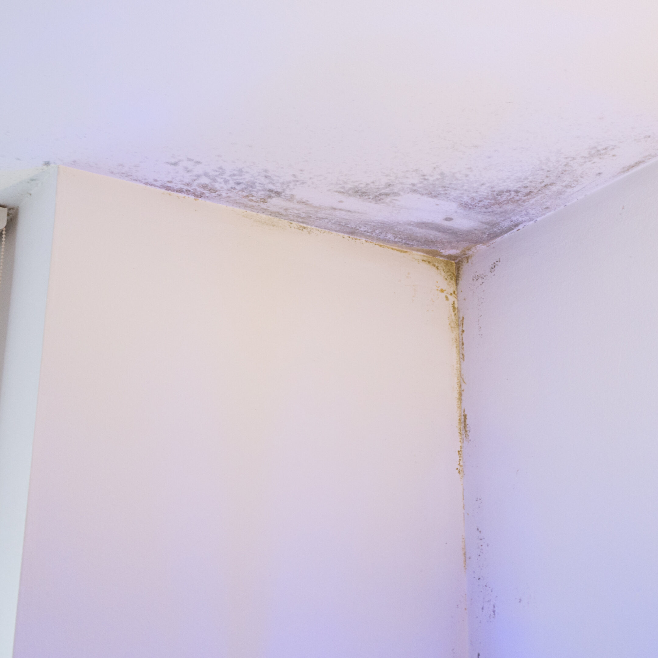 Mold in corner of white room ceiling.