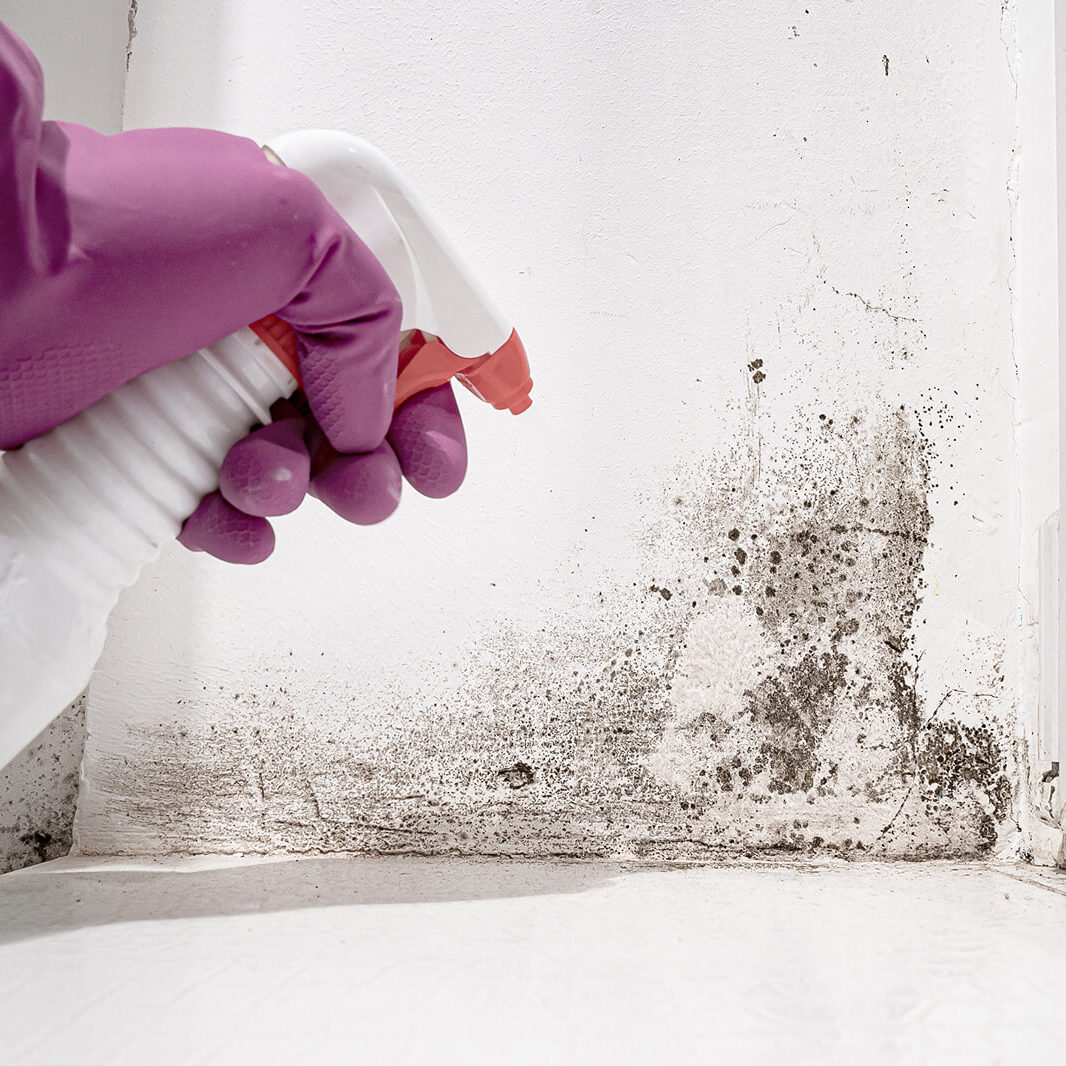 Removing mold from window corner